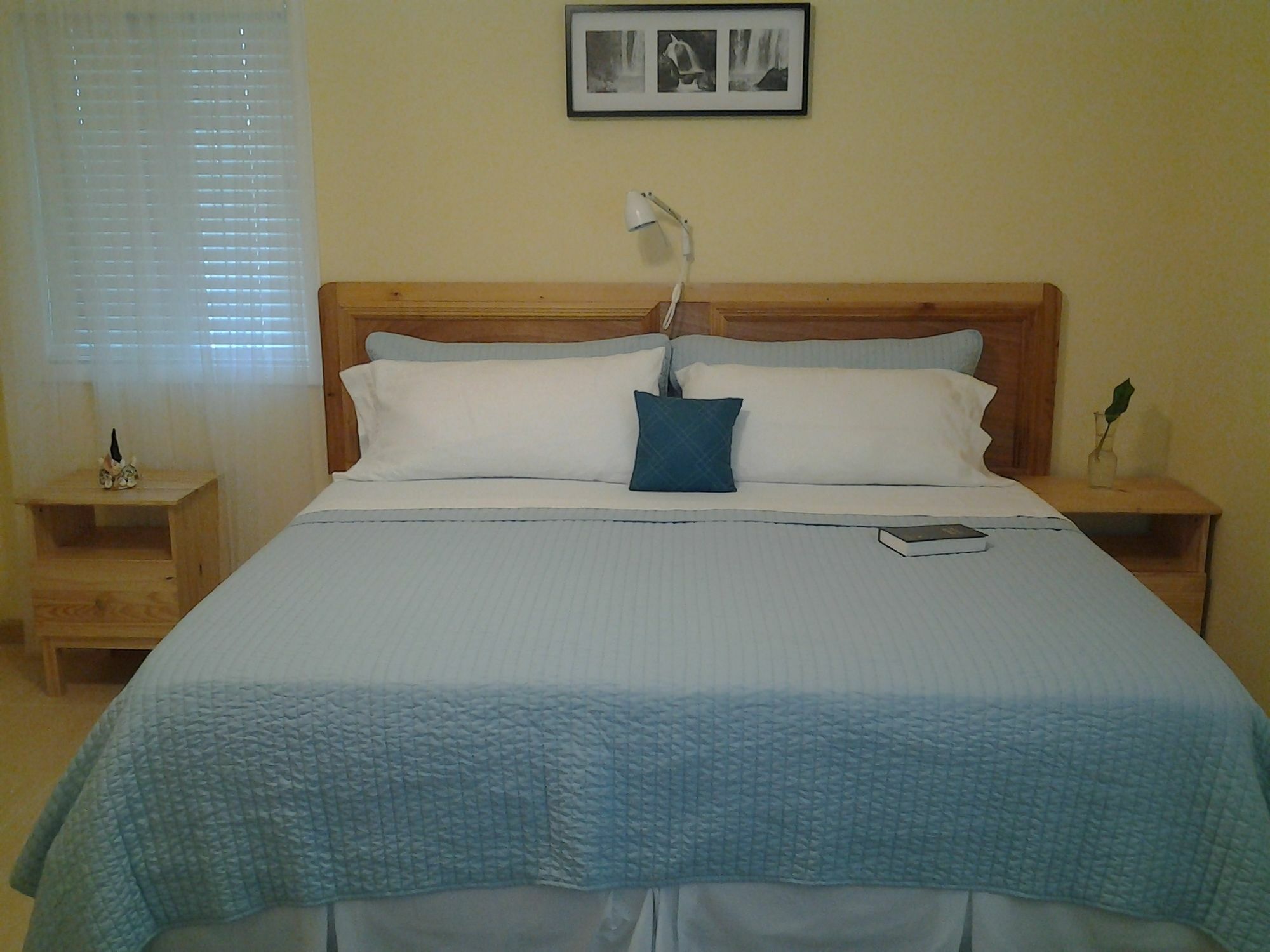 Sir Charles Guest House Palmetto Point Ngoại thất bức ảnh